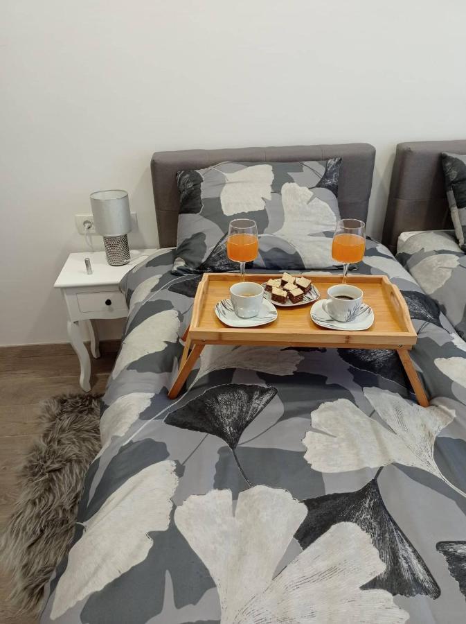 Apartman Cezar Apartment Rijeka Ngoại thất bức ảnh