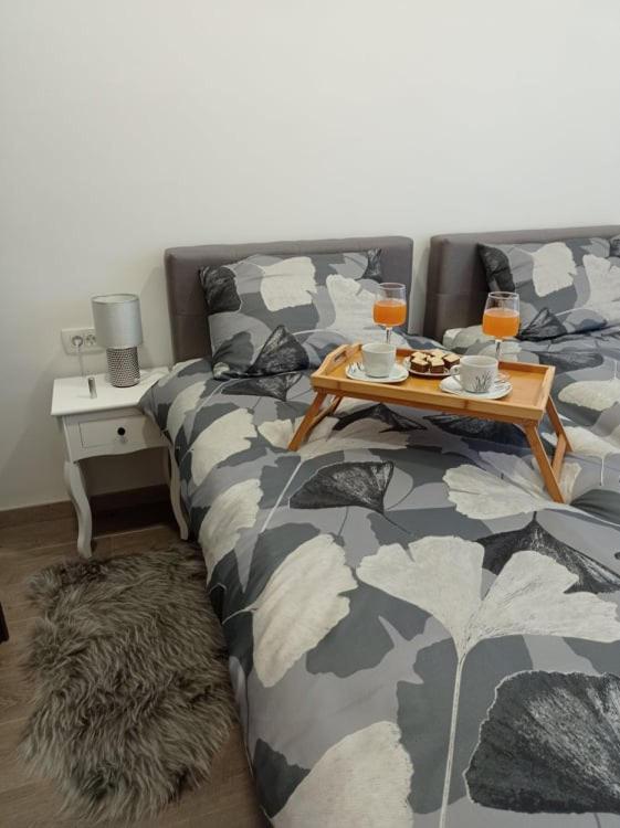 Apartman Cezar Apartment Rijeka Ngoại thất bức ảnh
