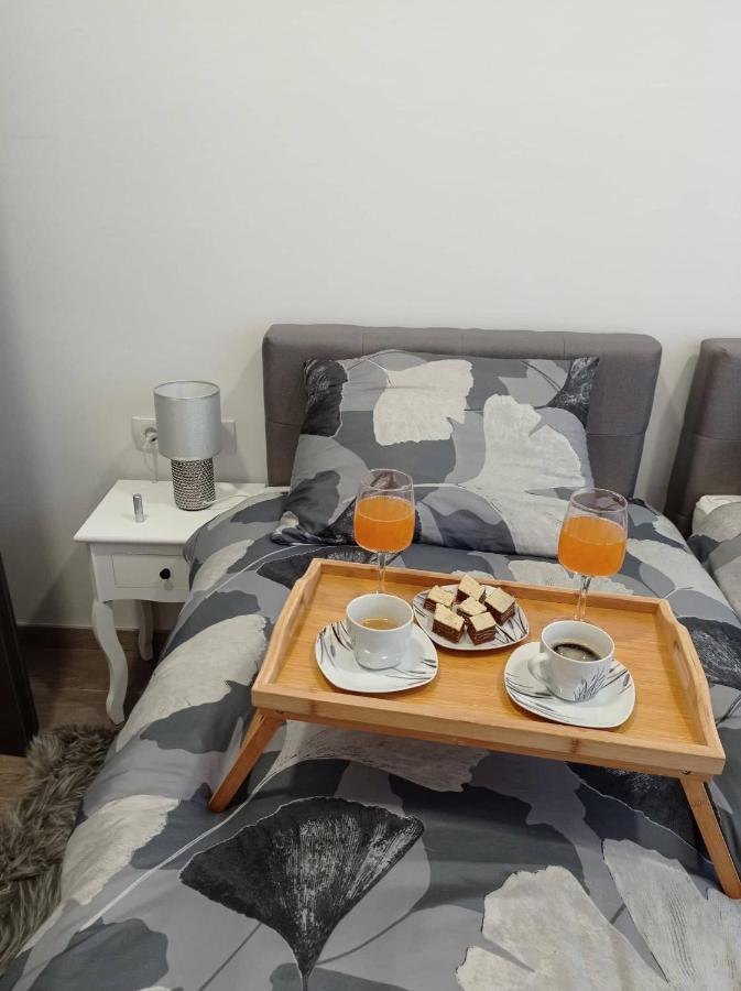 Apartman Cezar Apartment Rijeka Ngoại thất bức ảnh
